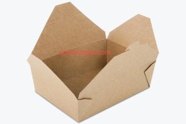 The Soton Standard: Decoding Responsible Kraft Box Coatings!